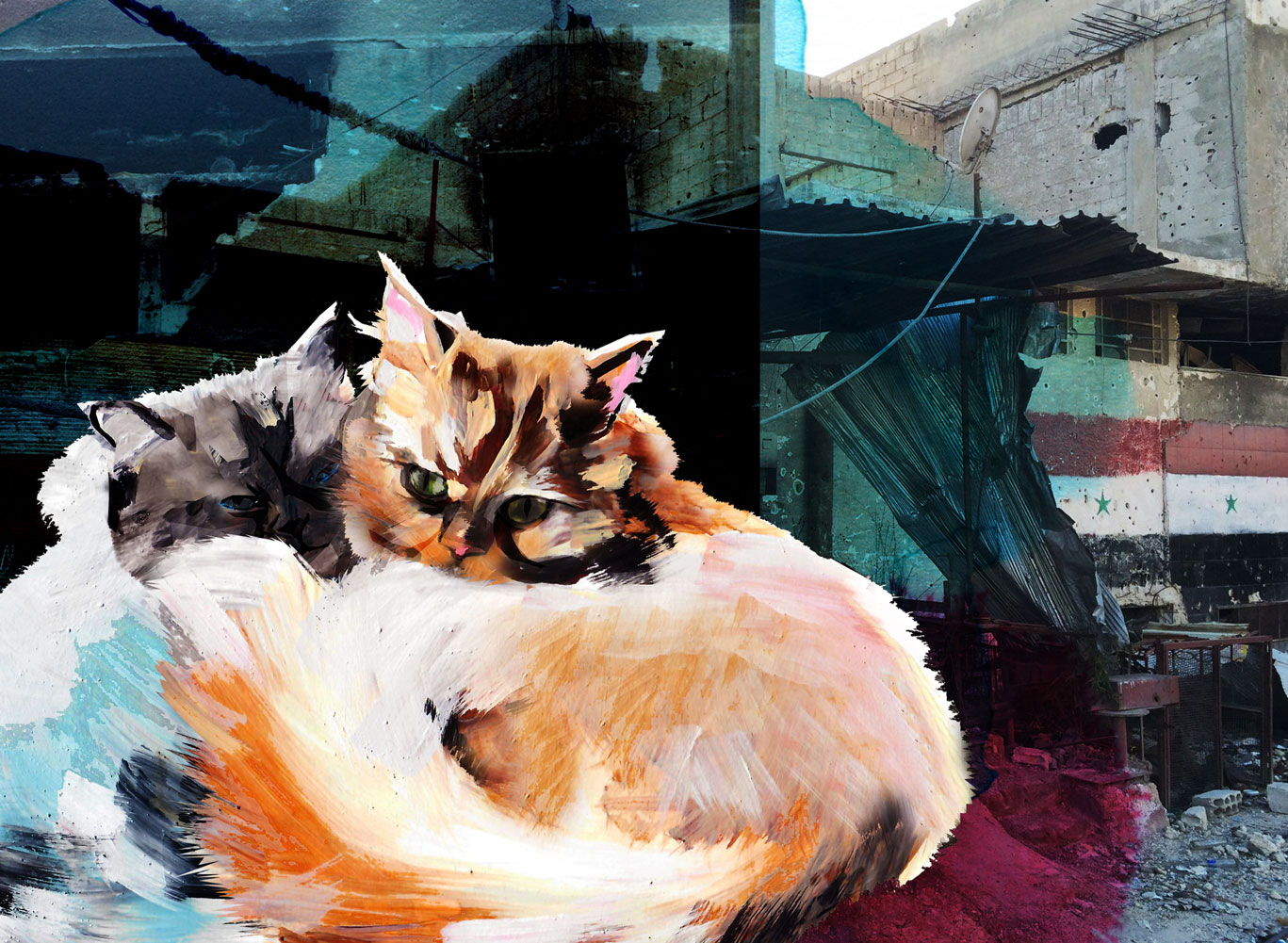The Day My Wartime Cat Went Missing