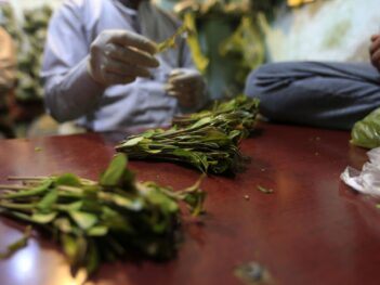 Qat’s Vicious Environmental Cycle