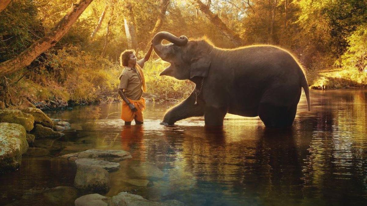 An Oscar Moment for Indian Documentaries