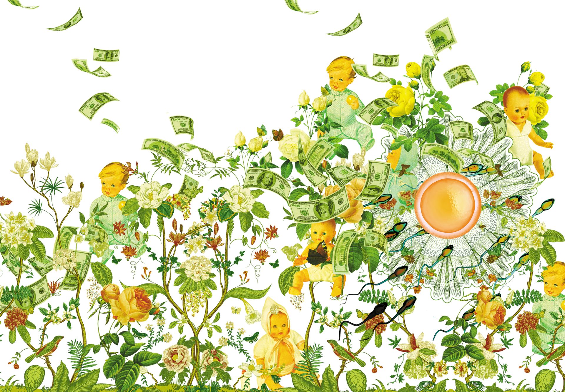 Because You’re Worth It: How the US Egg Donation Industry Monetizes Beauty